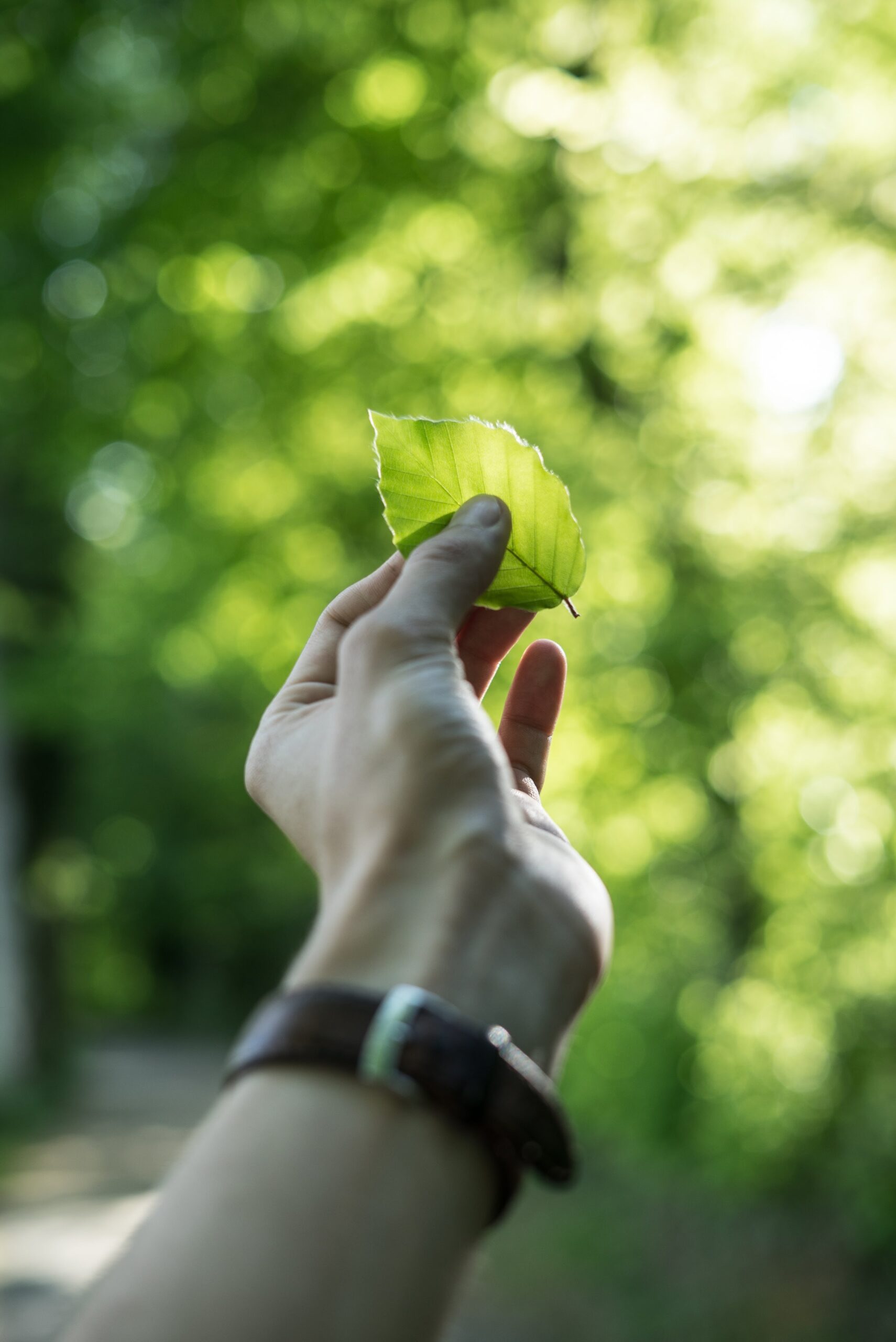 Liberale oplossingen voor de klimaatuitdaging